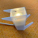 CONIGLIO_bianco_06.webp
