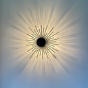 Raggio nero 02.webp
