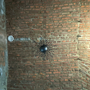 12 nero 03 25 04.webp