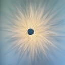 OMAEL 05 24 05.webp