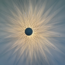 OMAEL 05 24 07.webp