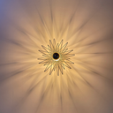 ARIEL oro 03 25 03.webp
