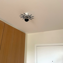 Mir 05 25 02.webp